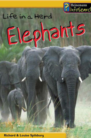 Cover of Animal Groups: Life in a Herd of Elephants