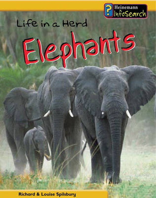 Cover of Animal Groups: Life in a Herd of Elephants