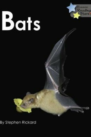 Cover of Bats