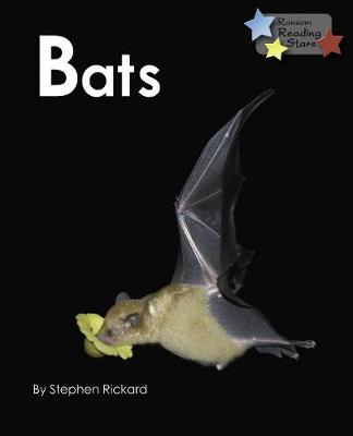 Cover of Bats