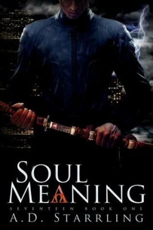 Cover of Soul Meaning