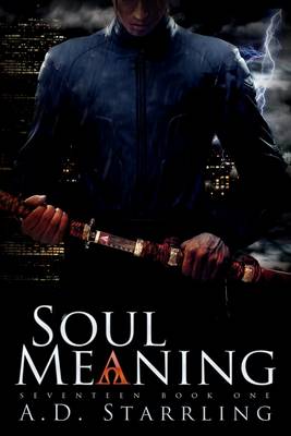 Book cover for Soul Meaning