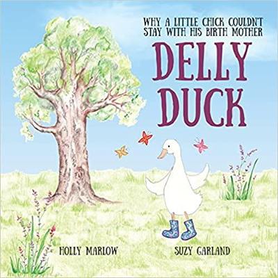 Book cover for Delly Duck