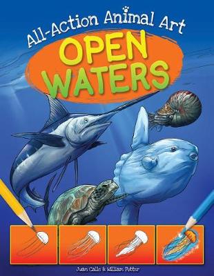 Cover of Open Waters