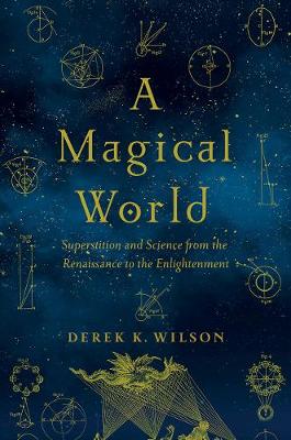 Book cover for A Magical World