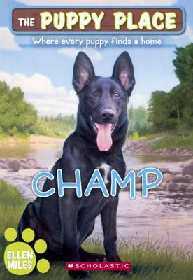 Book cover for Champ
