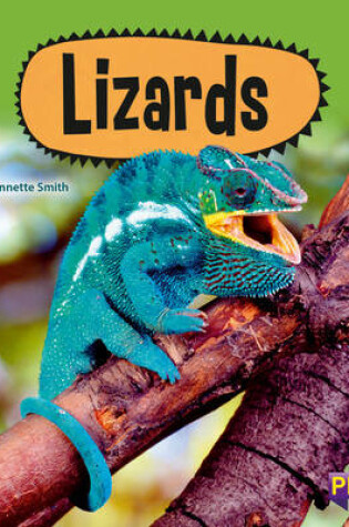 Cover of Lizards