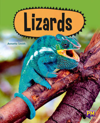 Book cover for Lizards