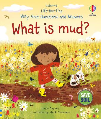 Book cover for Very First Questions and Answers: What is mud?