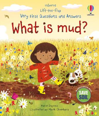 Cover of Very First Questions and Answers: What is mud?