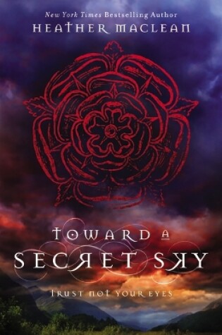 Cover of Toward a Secret Sky