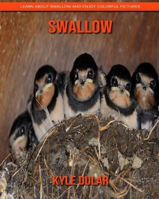 Book cover for Swallow! Learn about Swallow and Enjoy Colorful Pictures