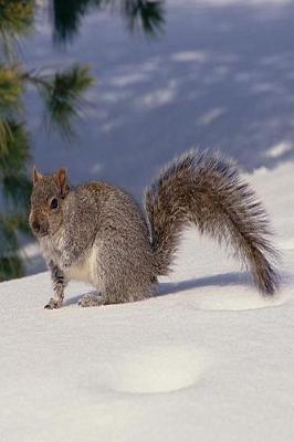 Cover of Journal Grey Squirrel Gray In Snow