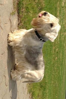 Book cover for Cesky Terrier Dog on a Walk Journal