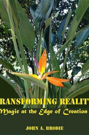 Cover of Transforming Reality - Magic at the Edge of Creation