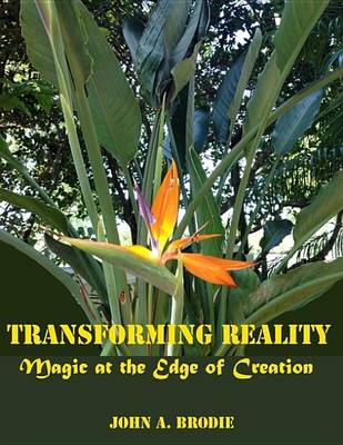 Book cover for Transforming Reality - Magic at the Edge of Creation