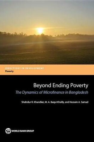 Cover of Beyond Ending Poverty