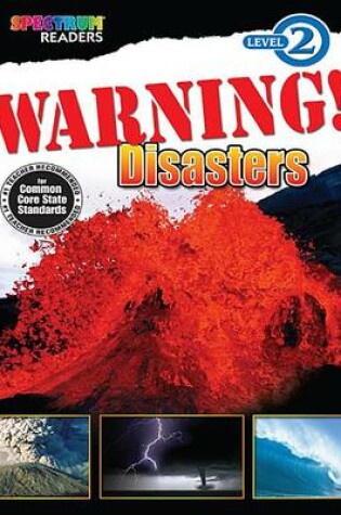 Cover of Warning! Disasters
