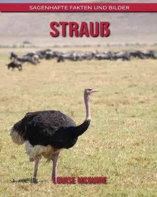 Book cover for Strauß