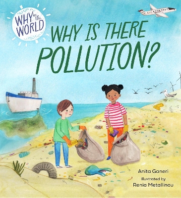 Book cover for Why in the World: Why is there Pollution?