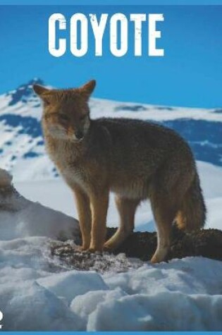 Cover of Coyote 2021 Wall Calendar