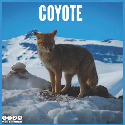 Book cover for Coyote 2021 Wall Calendar