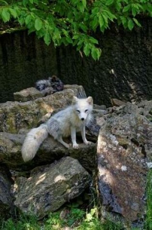 Cover of White Arctic Fox on a Rock Journal