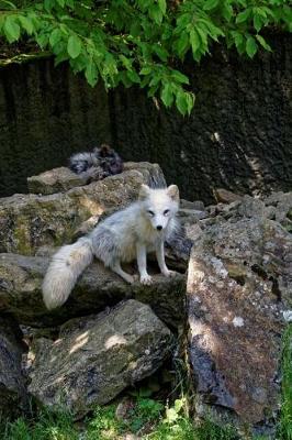 Book cover for White Arctic Fox on a Rock Journal