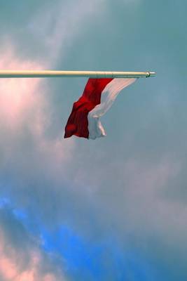 Book cover for A Polish Flag Blowing in the Wind, for the Love of Poland