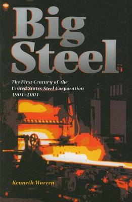 Book cover for Big Steel