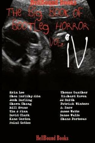 Cover of The Big Book of Bootleg Horror Vol IV