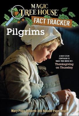 Book cover for Pilgrims