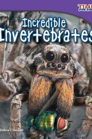 Cover of Incredible Invertebrates