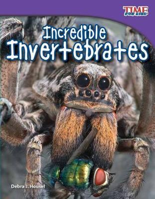 Book cover for Incredible Invertebrates