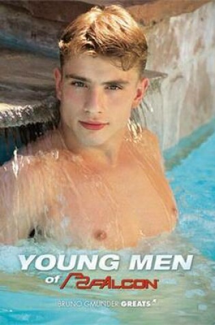 Cover of Young Men of Falcon