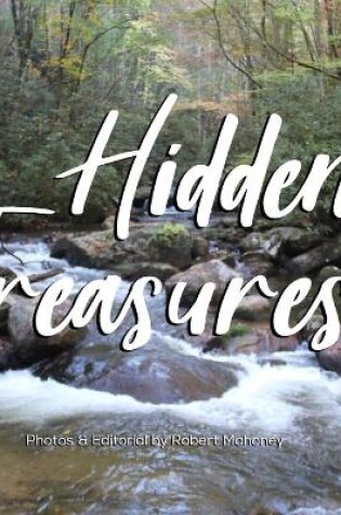 Cover of Hidden Treasures