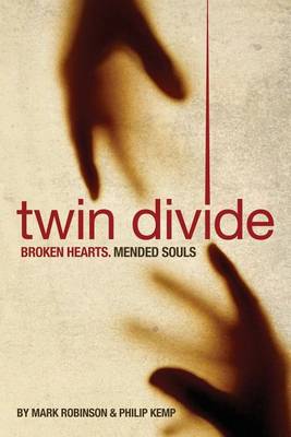 Book cover for Twin Divide