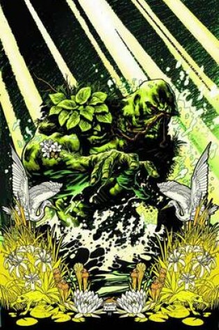 Cover of Swamp Thing Vol. 1