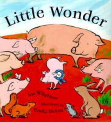 Book cover for Little Wonder