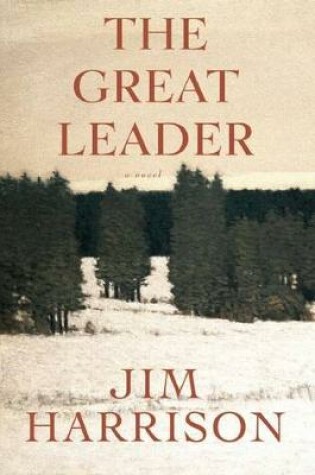 Cover of The Great Leader