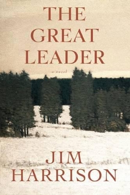 Book cover for The Great Leader