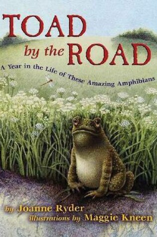 Cover of Toad by the Road