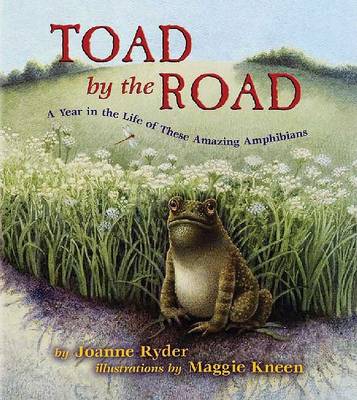 Book cover for Toad by the Road