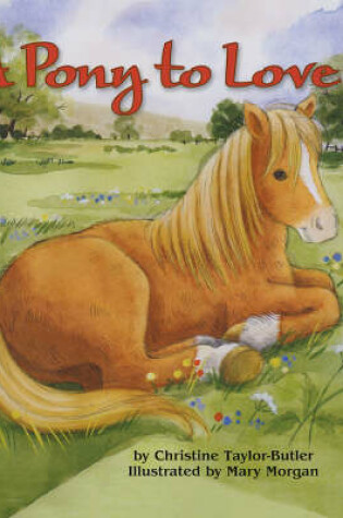 Cover of A Pony to Love