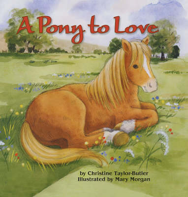 Book cover for A Pony to Love