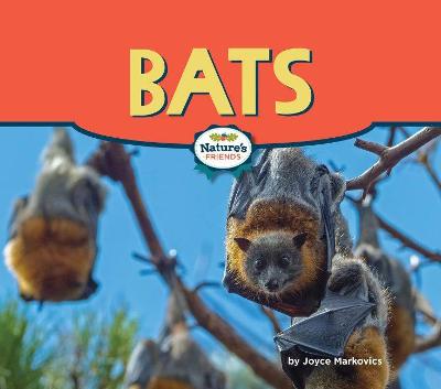 Book cover for Bats