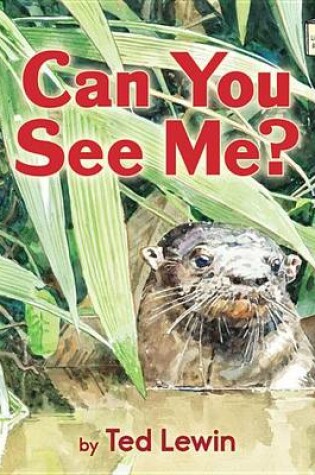 Cover of Can You See Me?
