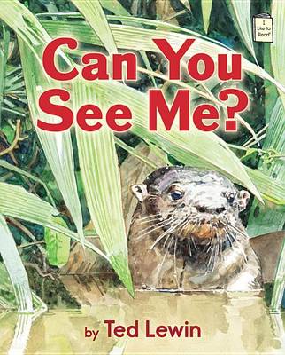 Book cover for Can You See Me?