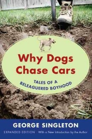 Cover of Why Dogs Chase Cars