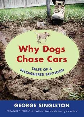 Book cover for Why Dogs Chase Cars